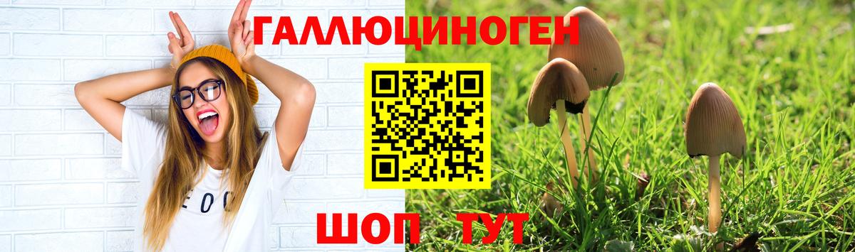 Галлюциногенные грибы мухоморы  цены наркотик  Новоалександровск  Вход с VPN 